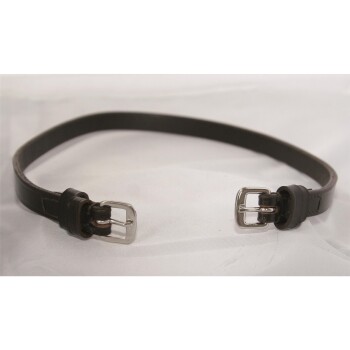 Ein braunes Leder-Haustierhalsband mit silbernen Schnallen, flach auf einer weißen Oberfläche ausgelegt.