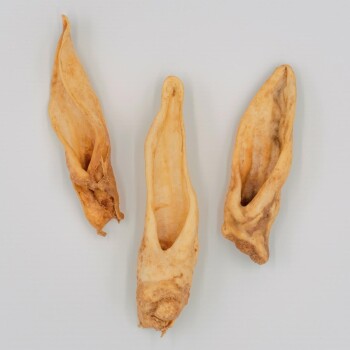 Drei getrocknete Tierohren, unterschiedlich in Form und Größe, auf einem hellen Hintergrund präsentiert, ideal als Leckerli für Haustiere.