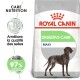 Digestive Care Maxi 12 kg