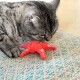 Eine graue getigerte Katze schnüffelt verspielt an einem leuchtend roten Plüsch-Oktopus-Spielzeug auf einem strukturierten Teppich.