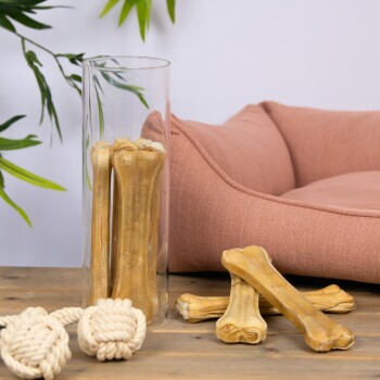 Eine Glasvase, gefüllt mit Hundeknochen, steht auf einem Holztisch neben einem rosa Haustierbett und zwei verknoteten Seilspielzeugen.