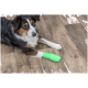 Tricolor dog lying on hardwood floor with bright green bandage wrapped on a front paw.