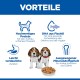 Zwei Beagle-Welpen mit Trockenfutter unter der Überschrift 'VORTEILE'; sichtbarer deutscher Text: Hochwertiges Protein, DHA aus Fischöl.