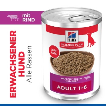 Dose Hill's Science Plan Adult Hundefutter Loaf Pâté (Rind), Etikett zeigt 'ADULT 1–6', 'LOAF PÂTÉ' und 'ERWACHSENER HUND'.