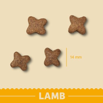 James wellbeloved grain sale free lamb and vegetable