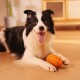 Schwarz-weißer Border Collie liegt auf einem Holzboden, hechelt, mit einem orange gesprenkelten Spielzeug zwischen den Vorderpfoten.