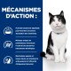 Chat noir et blanc assis à côté d'un texte en français décrivant les bienfaits digestifs et nutritionnels de la nourriture pour animaux.