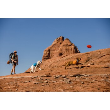 Eine Person mit einem Rucksack steht auf felsigem Gelände und beobachtet zwei Hunde, die spielen; ein Hund jagt einem roten Frisbee nach, während der andere einen blauen Rucksack trägt.