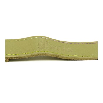 Nahaufnahme eines grünen Haustierhalsbands mit gelben und lila Nähten, das den eingeprägten Markennamen "Gloria" zeigt.