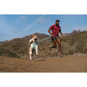 Eine Person in einem roten Shirt und Shorts läuft auf einem Schotterweg mit einem glücklichen Hund, der ein türkisfarbenes Geschirr trägt, umgeben von Hügeln und blauem Himmel.