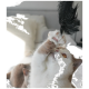 Eine verspielte Katze mit orangefarbenen Augen greift nach einem schwarzen Feder-Spielzeug und zeigt ihr weißes und hellbraunes Fell vor einem sanften, neutralen Hintergrund.
