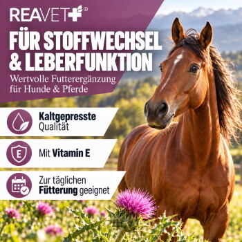Ein klares Glas mit einer goldgelben Flüssigkeit, möglicherweise ein Ergänzungsfuttermittel oder Öl, vor einem weißen Hintergrund.