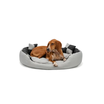 Ein brauner Hund, der auf einem runden, plüschigen Hundebett mit grauem und schwarzem Farbschema ruht, mit einem weichen, gepolsterten Design.