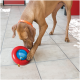 Brauner Hund mit orangefarbenem Halsband, der ein rot-blaues KONG-Leckerli-Spielzeug auf einem gefliesten Boden beschnüffelt und mit der Pfote bearbeitet.