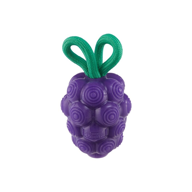 Planet Dog Dental Hundespielzeug