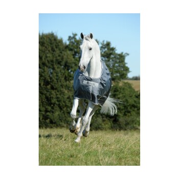 Ein weißes Pferd, das eine graue Bucas-Decke trägt, galoppiert durch ein grasbewachsenes Feld unter einem klaren blauen Himmel.