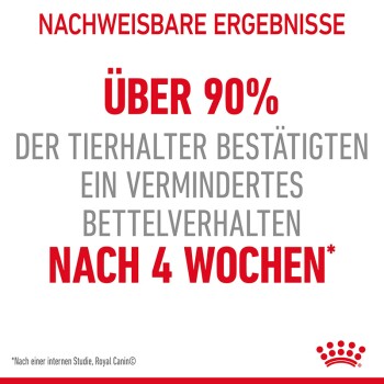 Infografik mit der Aussage 'Über 90% der Tierhalter bestätigten ein vermindertes Bettelverhalten nach 4 Wochen' mit Royal Canin-Logo.