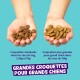 Mains tenant de petites et grandes croquettes avec étiquettes françaises et banderole « GRANDES CROQUETTES POUR GRANDS CHIENS ».