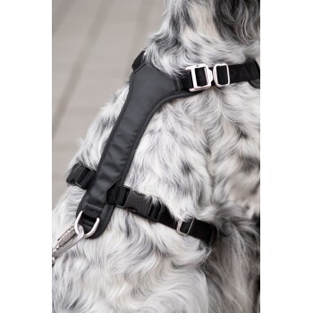 Eine Nahaufnahme eines schwarzen Hundegeschirrs, das an einem flauschigen, grau-weißen Hund befestigt ist, mit verstellbaren Riemen und Metallclips.