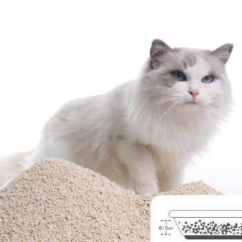 Eine flauschige weiße Katze sitzt neben einem großen Haufen Katzenstreu, mit einem Diagramm, das eine Katzentoilette zeigt, die bis zu einer Höhe von 6-7 cm gefüllt ist.