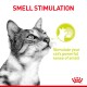 A close-up of a cat's face with a focused expression, accompanied by the text "SMELL STIMULATION" and "Stimulate your cat’s powerful sense of smell."