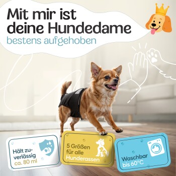 Beagle im schwarzen Mantel mit den Hinweisen: "Bester Komfort," "extrem saugstark," "5 Größen," "3 Einstellmöglichkeiten," "weiches Innenfutter," "XS verfügbar."