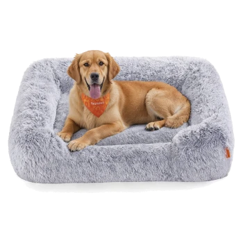 Ein Golden Retriever, der bequem auf einem weichen, grauen Haustierbett ruht und ein oranges Halstuch trägt.