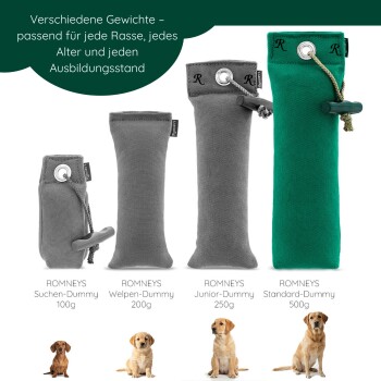 Zwei glückliche Labrador Retriever, einer gelb und einer schwarz, liegen auf Gras mit blauen und grünen Hundespielzeugen im Freien.
