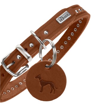 Brauner Lederhalsband für Hunde mit silbernen Nieten, mit einem runden Anhänger, der mit einer Hundesilhouette geprägt ist, und einer Metallschnalle.