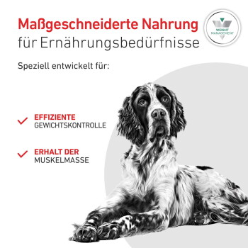 Spaniel neben deutschem Text: 'Maßgeschneiderte Nahrung', 'Gewichtskontrolle', 'Erhalt der Muskelmasse' und 'Gewichtsmanagement'.