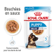 Emballage de nourriture pour chiots Royal Canin montrant le profil d'un chiot et le texte : "Bouchées en sauce," "PUPPY," "MAXI 2-15 mois," "Texture tendre."