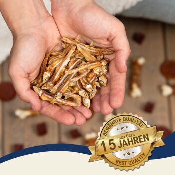 Hände halten einen Haufen kleiner getrockneter Fische, mit einem Abzeichen, das "Beste Qualität" und "15 Jahre" auf Deutsch angibt, was 15 Jahre Qualität bedeutet.