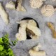 Eine schwarze Schüssel, gefüllt mit verschiedenen weichen, pelzigen Kauspielzeugen für Haustiere, umgeben von verknoteten Seilspielzeugen und einer kleinen grünen Pflanze auf einer strukturierten grauen Oberfläche.