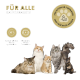 Sechs Katzen verschiedener Rassen auf schwarzem Hintergrund, mit Fütterungshinweisen, die für alle Katzen geeignet sind, einschließlich Kätzchen und trächtigen Katzen.
