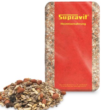 Nahaufnahme von gemischtem Vogelfutter mit Sonnenblumenkernen, Erdnüssen, Hafer und getrockneten Fruchtstücken.