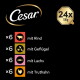Cesar-Logo, goldene '24x 100g' Plakette, Liste: ×6 mit Rind; ×6 mit Geflügel; ×6 mit Lachs; ×6 mit Truthahn.