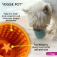 Hund leckt aus einem blauen Yoggie Pot mit einem orangefarbenen Yoggie Pot, der Noppen und Sternmuster zur Futteraufnahme und Stimulation zeigt.