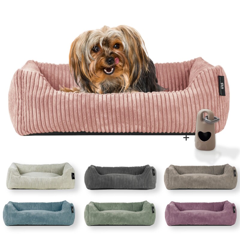 Rohrschneider ® Hundebett waschbar für kleine Hunde mit Hundekissen Cord (ca. 55x42 cm) inkl. Gassibeutel