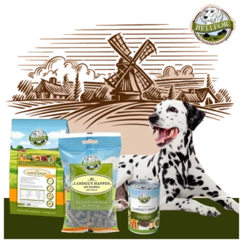 Ein glücklicher Dalmatiner sitzt neben Bellfor-Tierfutterprodukten, darunter "Landgut-Happen," "Landgut-Menü Insekten" und Trockenfutter, neben einer Windmühle.