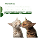 Zwei Katzen, die sich auf einem grünen Hintergrund gegenseitig putzen, mit dem Text 'Anti Haarball' und einer Nachricht über mehrere Katzen, die sich putzen.