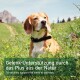 Ein Beagle sitzt auf einer grasbewachsenen Fläche mit Bergen. Text: "Gelenk-Unterstützung durch das Plus aus der Natur" und "Unterstützen Sie die Gelenke Ihres Hundes auf natürliche Weise."