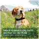 Ein Beagle sitzt auf einer grasbewachsenen Fläche mit Bergen. Text: "Gelenk-Unterstützung durch das Plus aus der Natur" und "Unterstützen Sie die Gelenke Ihres Hundes auf natürliche Weise."