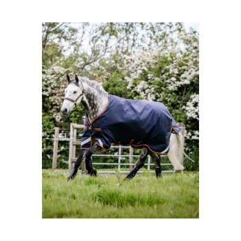 Ein graues Pferd, das eine marineblaue Decke mit orangefarbenem Rand trägt, geht durch ein grasbewachsenes Feld, umgeben von blühenden Sträuchern und einem Holzzaun.