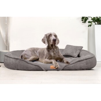 Ein grauer Weimaraner, der auf einem plüschigen grauen Haustierbett mit einem kleinen Kissen entspannt, vor einer hellen Wand und Zimmerpflanzen.