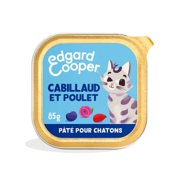Emballage de nourriture pour chat avec un chat de dessin animé, étiqueté "Cabillaud et Poulet" avec des illustrations de baies, 85g.