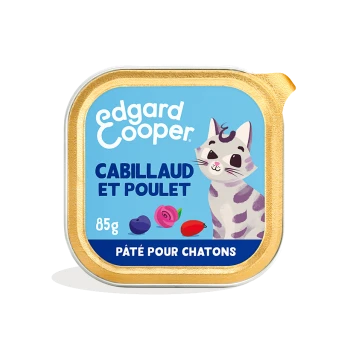 Emballage de nourriture pour chat avec un chat de dessin animé, étiqueté "Cabillaud et Poulet" avec des illustrations de baies, 85g.