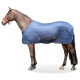 Ein braunes Pferd, das eine blau gestreifte Decke mit Schnallen trägt, im Profil vor einem weißen Hintergrund stehend.
