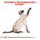Illustration einer Siamkatze, die nach oben greift, mit dem Text "SORTIMENT FÜR RASSEKATZEN: SIAMESE", der prominent darüber angezeigt wird.