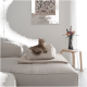 Eine hellfarbige Katze, die in einem gemütlichen Haustierbett auf einem Sofa ruht, mit einer Vase voller Blumen und einem Paul Klee-Poster im Hintergrund.