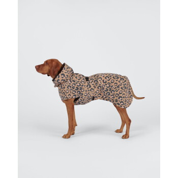 Brauner Hund steht in einem hellbraunen und schwarzen leopardgemusterten Hundemantel vor weißem Hintergrund.